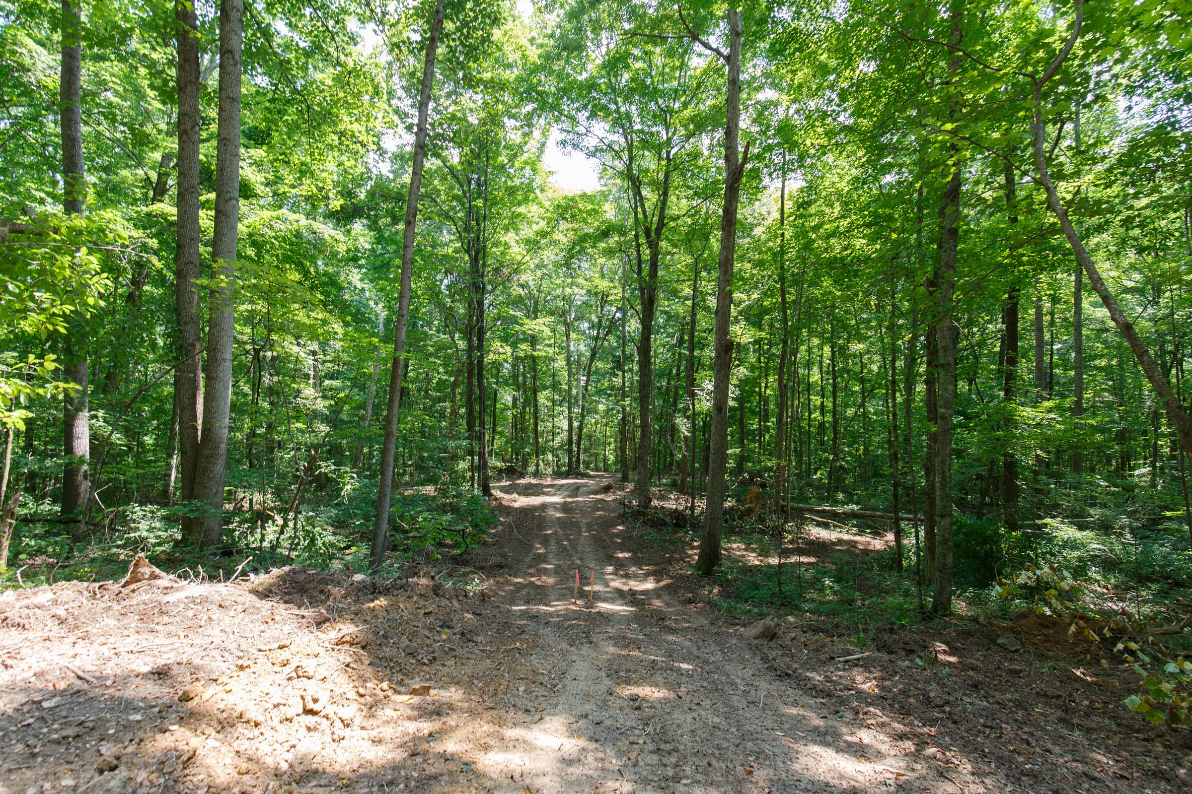 Tract 10 at Rolling Hills in Wayne County, Kentucky