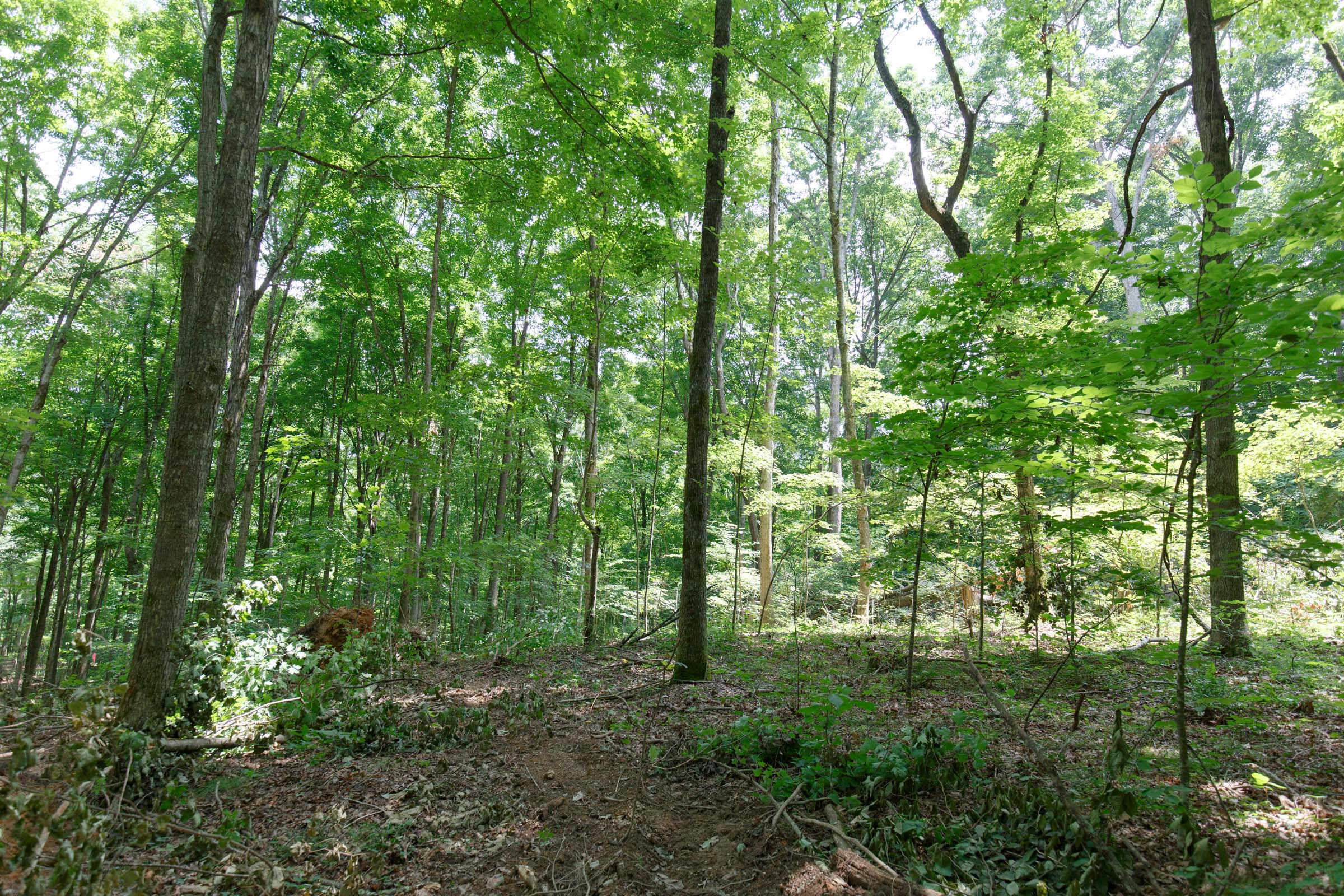 Tract 15 at Rolling Hills in Wayne County, Kentucky