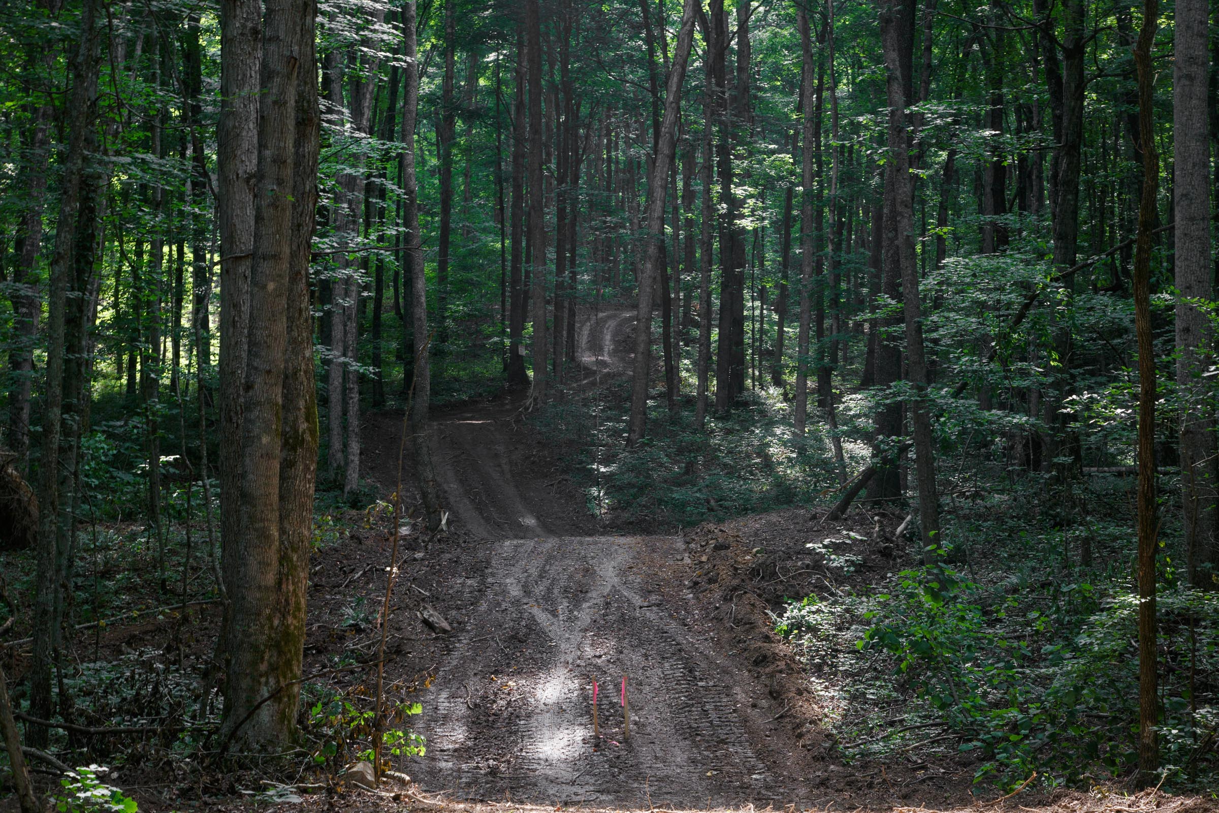 Tract 16 at Rolling Hills in Wayne County, Kentucky