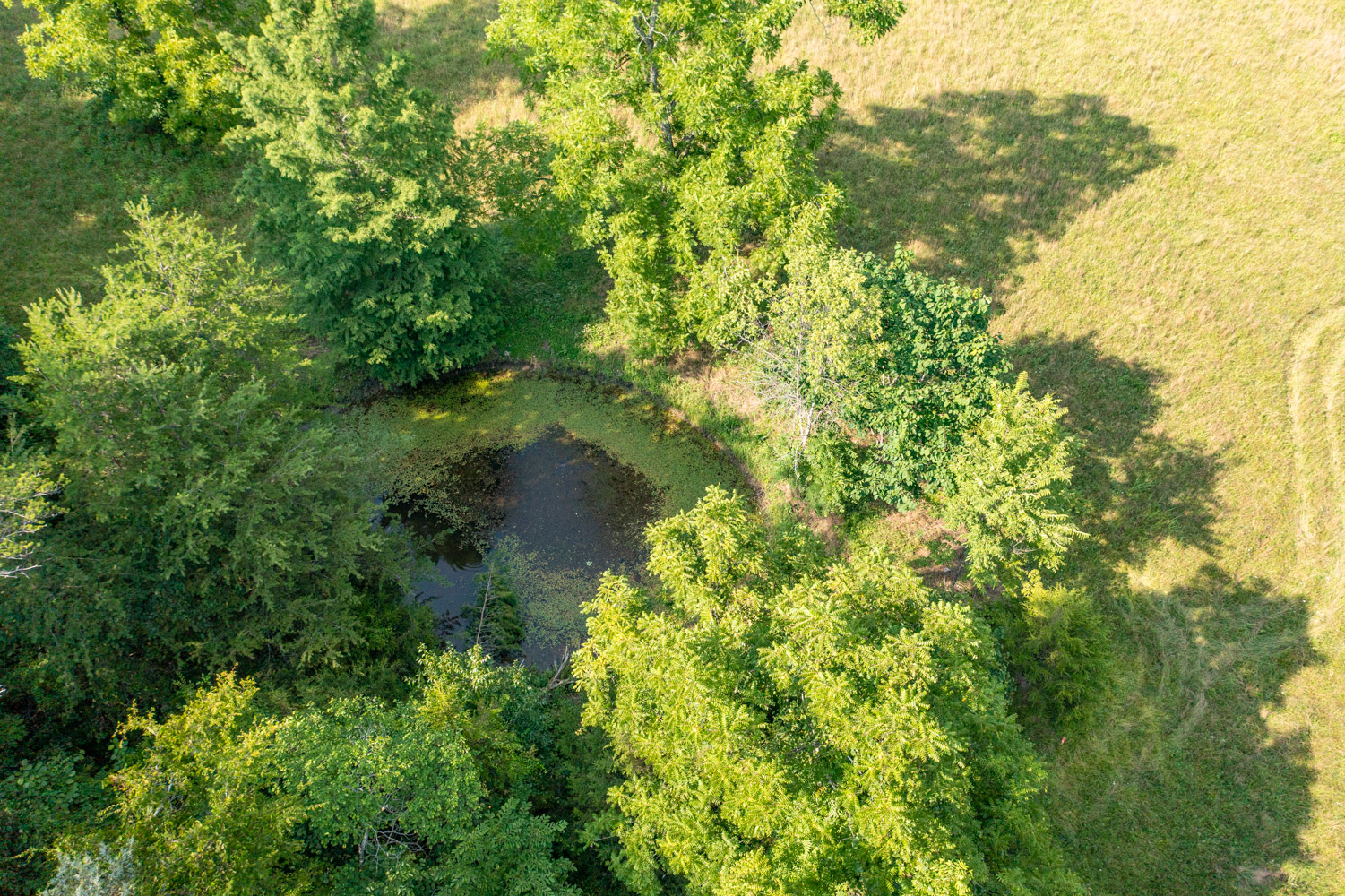 Tract 17 at Rolling Hills in Wayne County, Kentucky