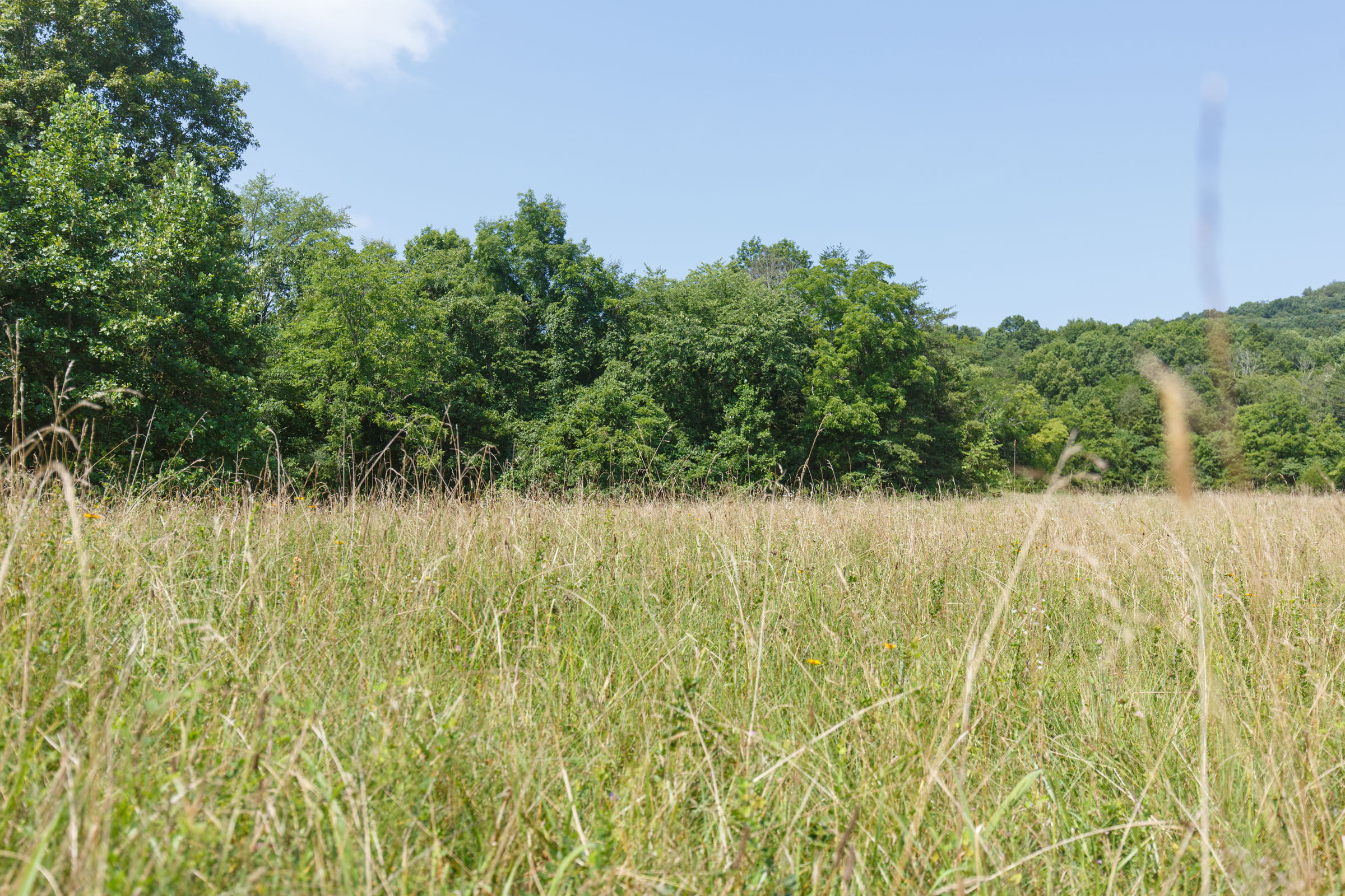 Tract 19 at Rolling Hills in Wayne County, Kentucky