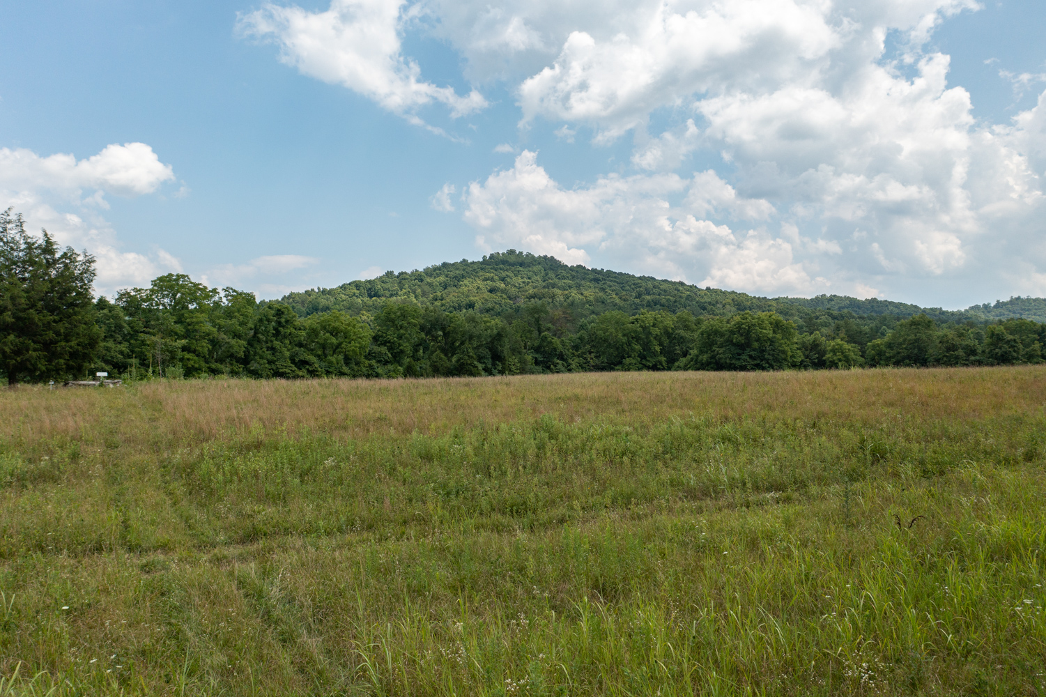 Tract 22 at Rolling Hills in Wayne County, Kentucky