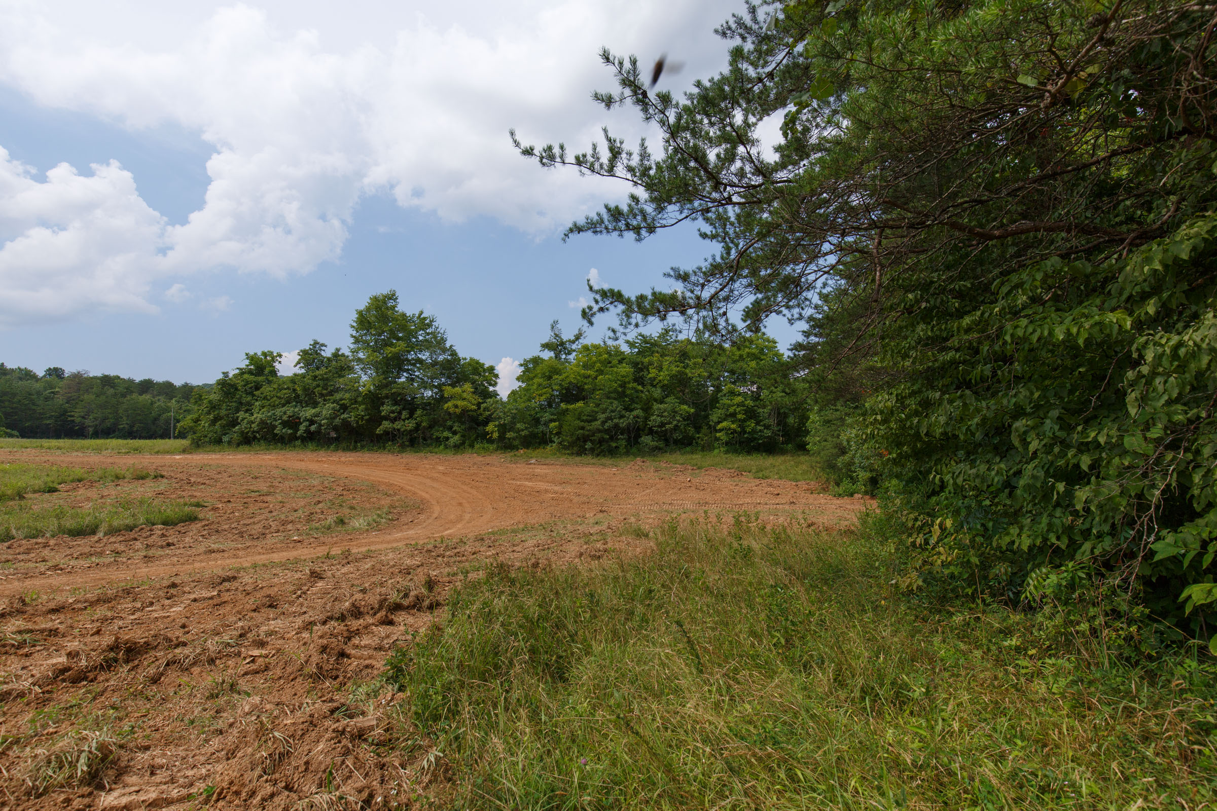Tract 26 at Rolling Hills in Wayne County, Kentucky
