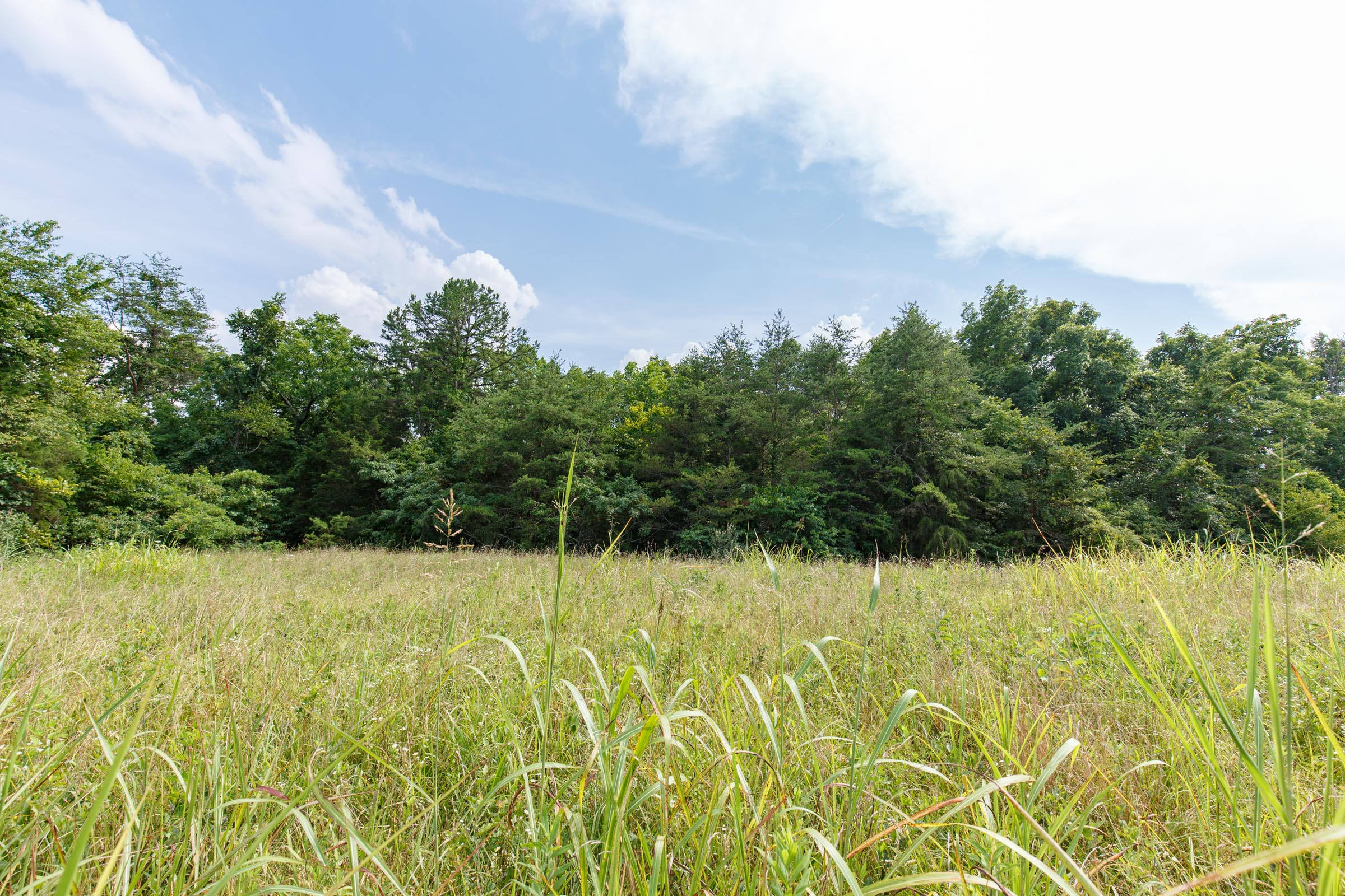 Tract 29 at Rolling Hills in Wayne County, Kentucky