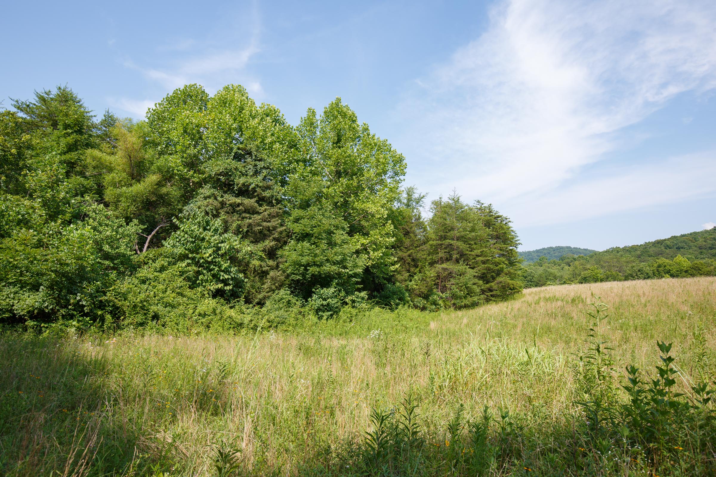Tract 31 at Rolling Hills in Wayne County, Kentucky