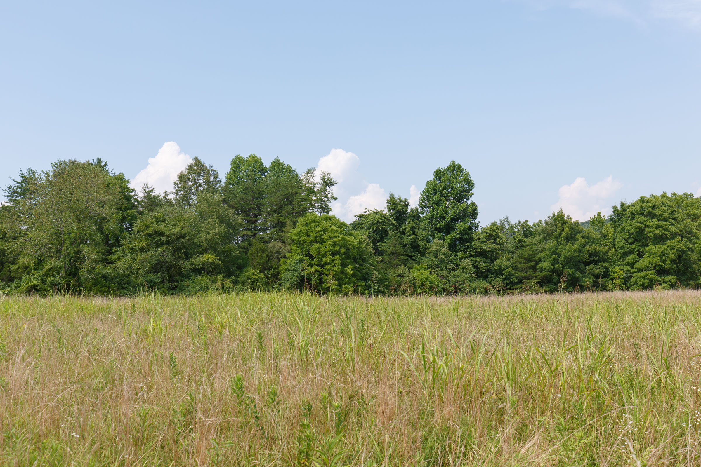 Tract 33 at Rolling Hills in Wayne County, Kentucky