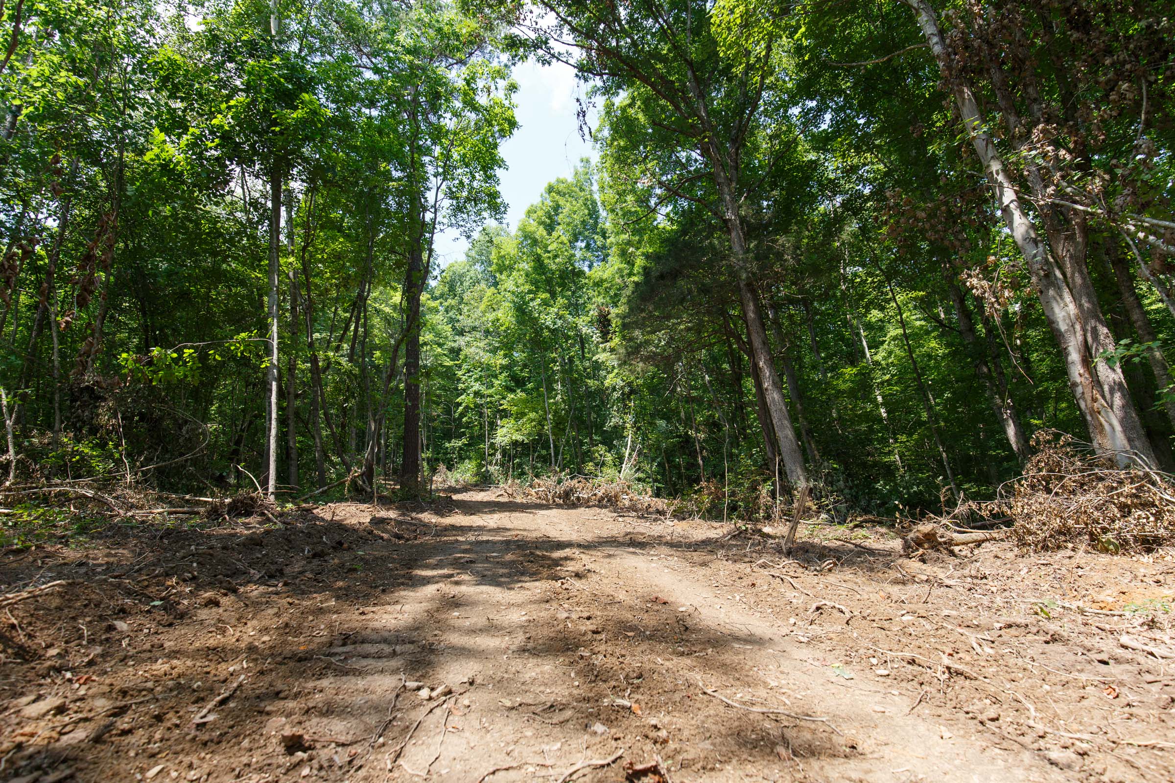 Tract 8 at Rolling Hills in Wayne County, Kentucky