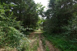 property photo for Springlake Plat 6 Tract 4, 0.19 acres for sale in Miller County, Missouri